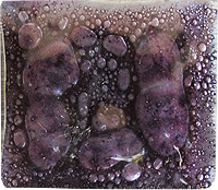 violeta intenso c/b